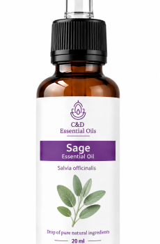 Sage Essential Oil (Salvia officinalis)  C&D Essential Oils – Wildcrafted from Albania