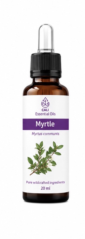 Myrtle Essential Oil (Myrtus communis) C&D Essential Oils – Wildcrafted from Albania