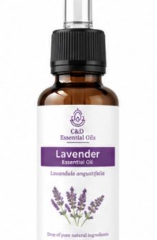 Lavender Essential Oil